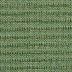 Palatine Crypton Upholstery Fabric